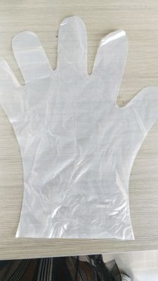 OEM 콤포스타블 바이오 분해 가능한 일회용 장갑 식품 제조